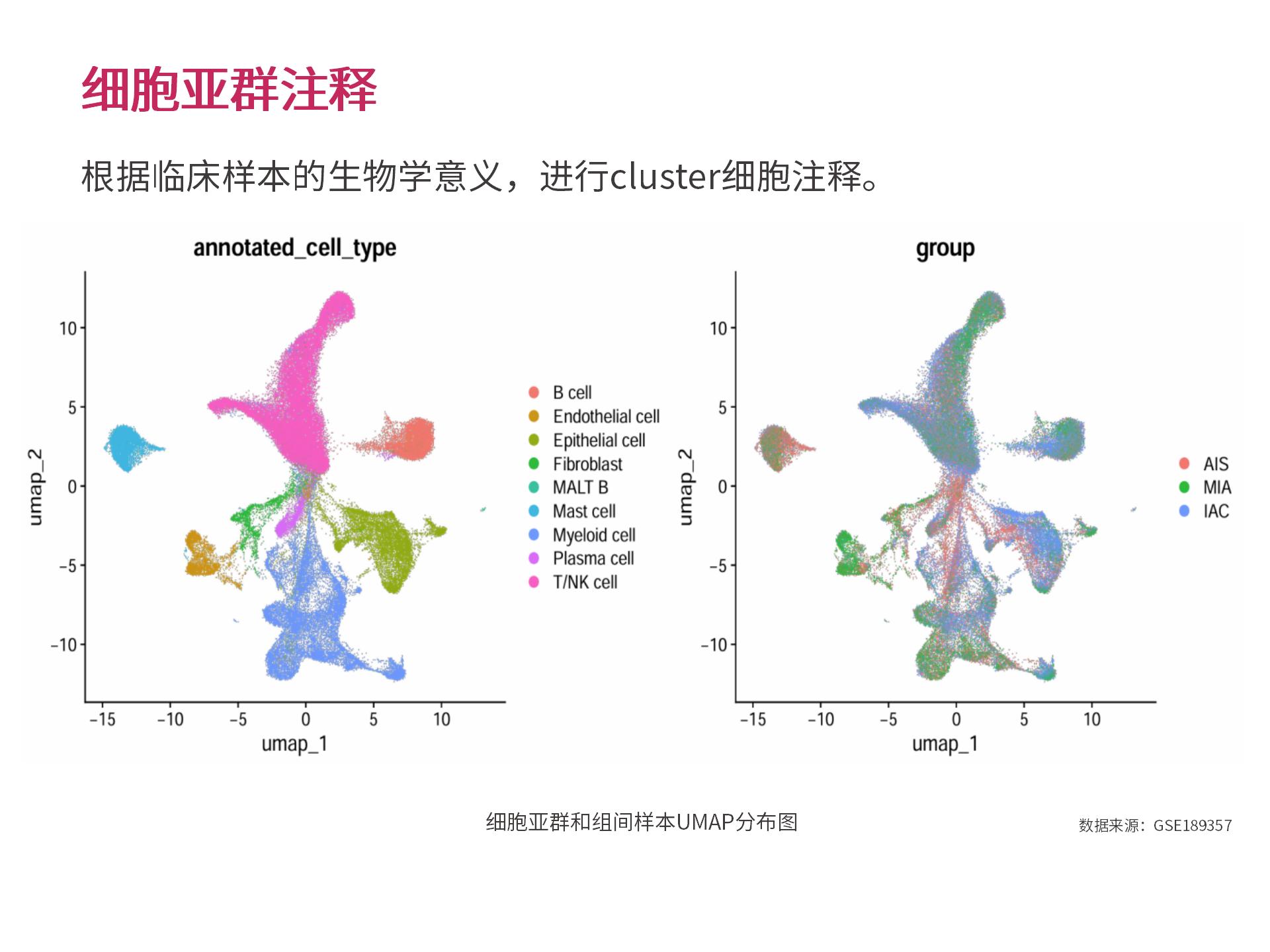 官网个性化生物信息分析 (2.25)--_03.jpg