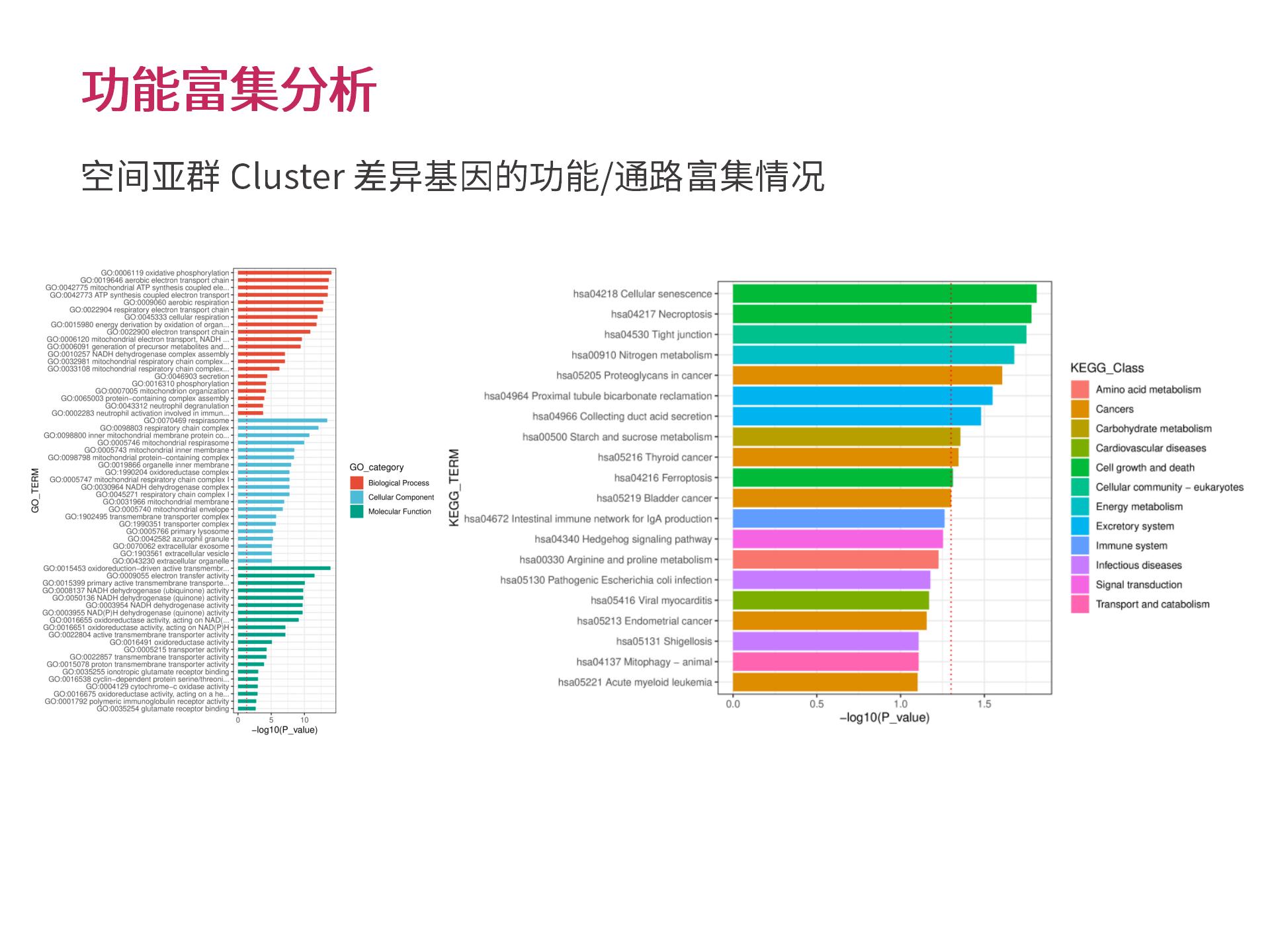 官网个性化生物信息分析 (2.25)--_13.jpg