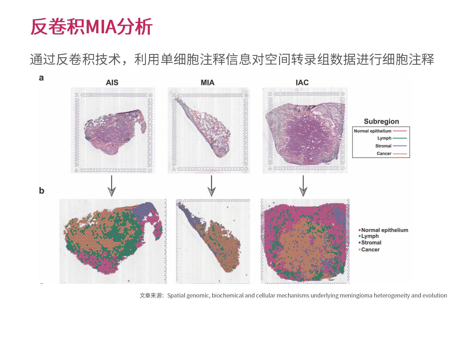 官网个性化生物信息分析 (2.25)--_15.jpg